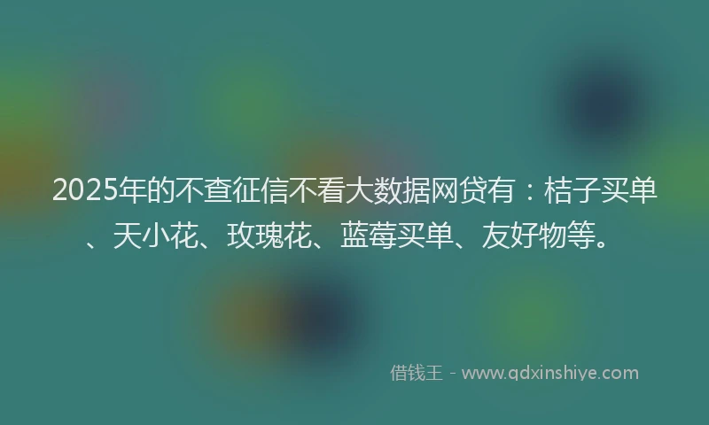2025年的不查征信不看大数据网贷有：桔子买单、天小花、玫瑰花、蓝莓买单、友好物等。