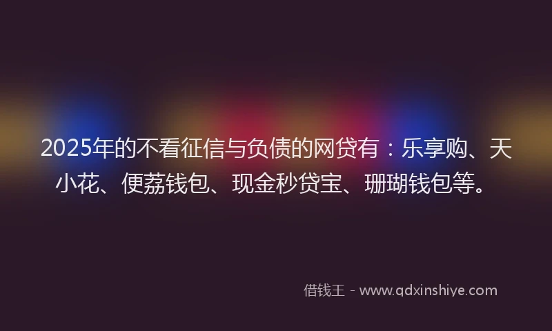 2025年的不看征信与负债的网贷有：乐享购、天小花、便荔钱包、现金秒贷宝、珊瑚钱包等。