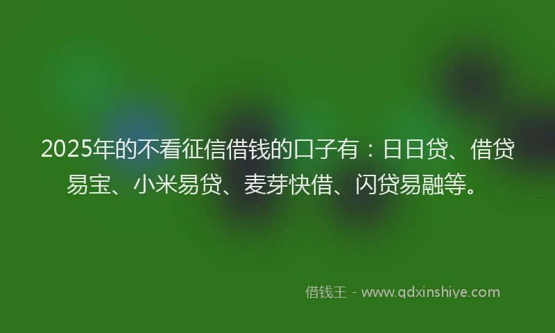 2025年的不看征信借钱的口子有：日日贷、借贷易宝、小米易贷、麦芽快借、闪贷易融等。