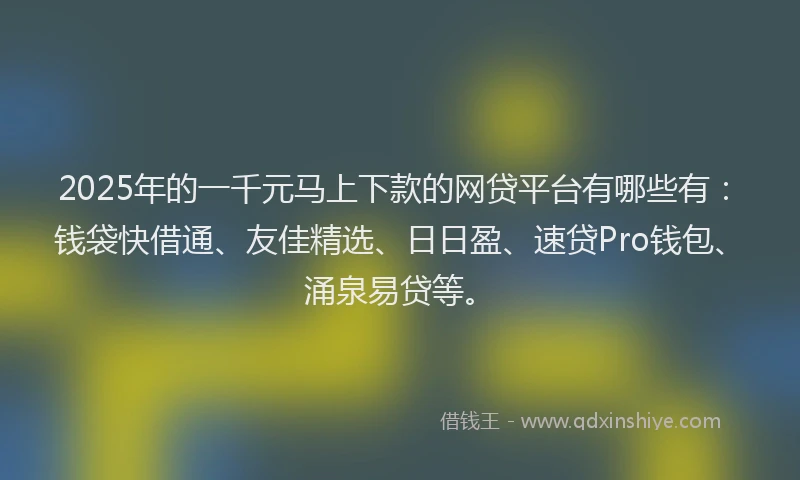 2025年的一千元马上下款的网贷平台有哪些有：钱袋快借通、友佳精选、日日盈、速贷Pro钱包、涌泉易贷等。