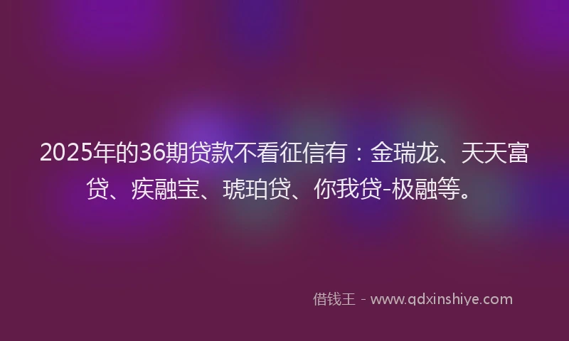 2025年的36期贷款不看征信有：金瑞龙、天天富贷、疾融宝、琥珀贷、你我贷-极融等。