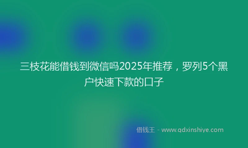 三枝花能借钱到微信吗2025年推荐，罗列5个黑户快速下款的口子