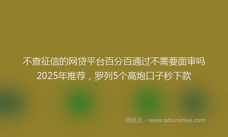 不查征信的网贷平台百分百通过不需要面审吗2025年推荐，罗列5个高炮口子秒下款