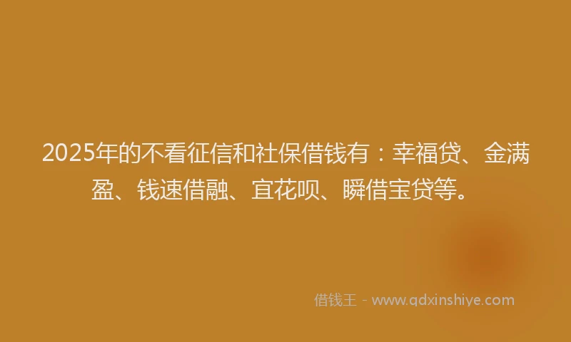 2025年的不看征信和社保借钱有：幸福贷、金满盈、钱速借融、宜花呗、瞬借宝贷等。