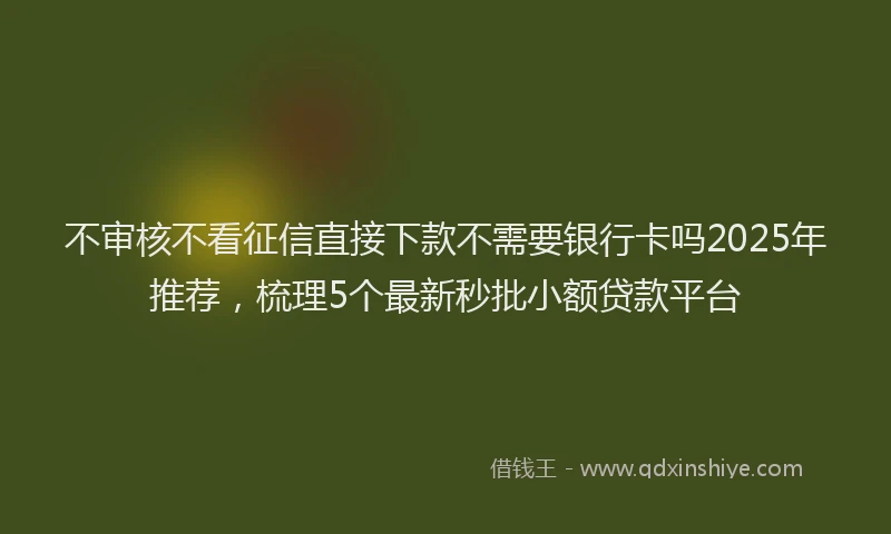 不审核不看征信直接下款不需要银行卡吗2025年推荐，梳理5个最新秒批小额贷款平台