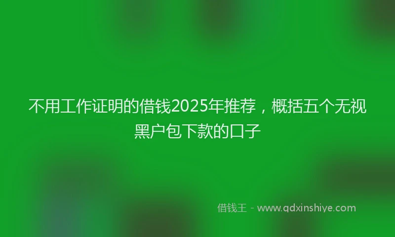 不用工作证明的借钱2025年推荐，概括五个无视黑户包下款的口子