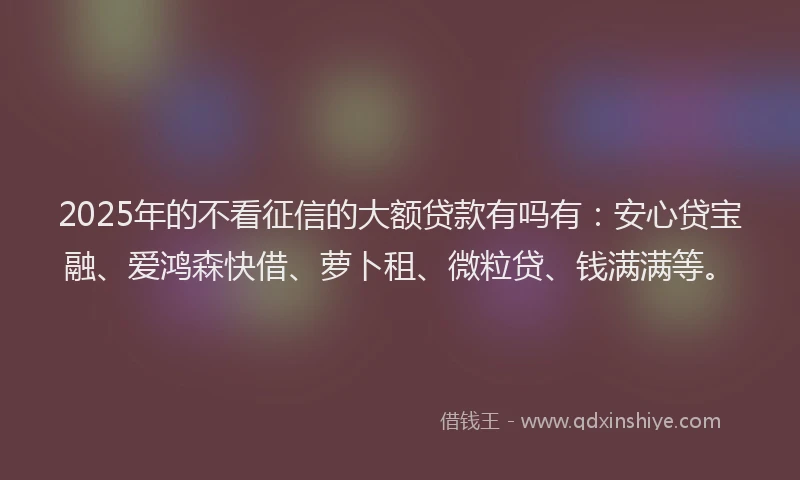 2025年的不看征信的大额贷款有吗有：安心贷宝融、爱鸿森快借、萝卜租、微粒贷、钱满满等。