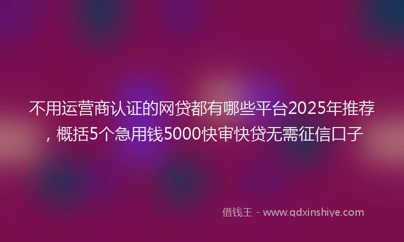 不用运营商认证的网贷都有哪些平台2025年推荐，概括5个急用钱5000快审快贷无需征信口子