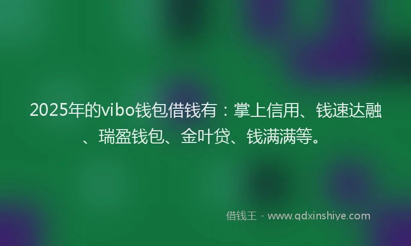 2025年的vibo钱包借钱有：掌上信用、钱速达融、瑞盈钱包、金叶贷、钱满满等。