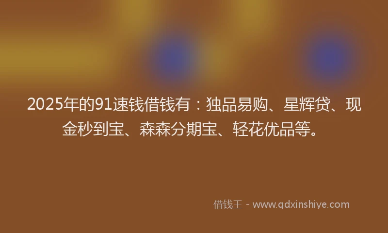 2025年的91速钱借钱有：独品易购、星辉贷、现金秒到宝、森森分期宝、轻花优品等。