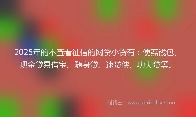 2025年的不查看征信的网贷小贷有：便荔钱包、现金贷易借宝、随身贷、速贷侠、功夫贷等。
