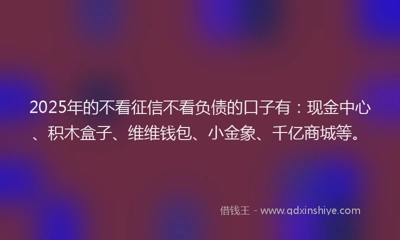 2025年的不看征信不看负债的口子有：现金中心、积木盒子、维维钱包、小金象、千亿商城等。