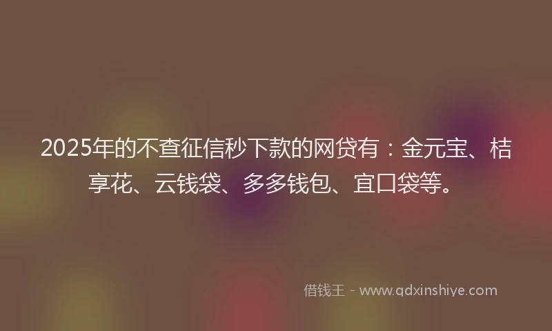 2025年的不查征信秒下款的网贷有：金元宝、桔享花、云钱袋、多多钱包、宜口袋等。