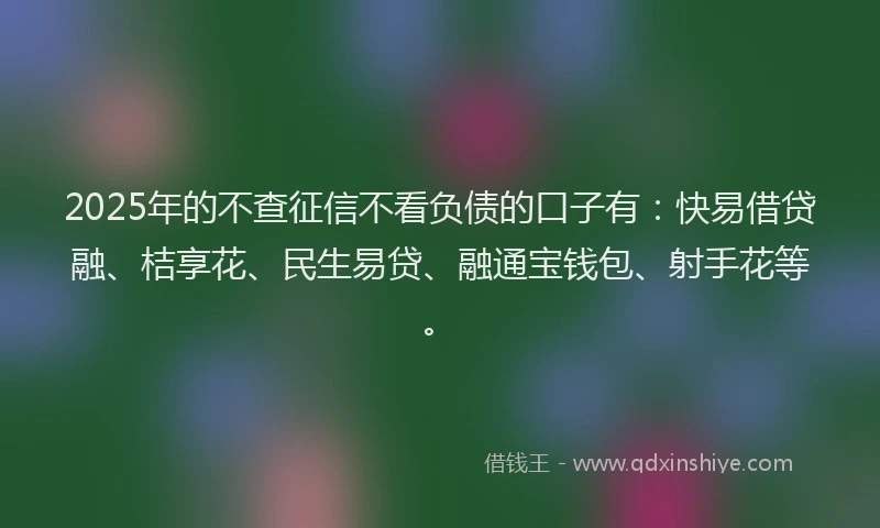 2025年的不查征信不看负债的口子有：快易借贷融、桔享花、民生易贷、融通宝钱包、射手花等。