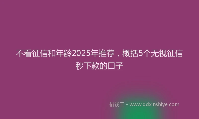 不看征信和年龄2025年推荐，概括5个无视征信秒下款的口子