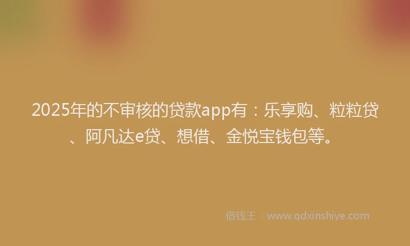 2025年的不审核的贷款app有：乐享购、粒粒贷、阿凡达e贷、想借、金悦宝钱包等。