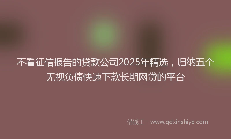 不看征信报告的贷款公司2025年精选，归纳五个无视负债快速下款长期网贷的平台