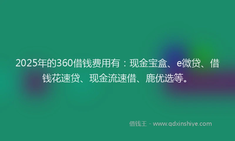 2025年的360借钱费用有：现金宝盒、e微贷、借钱花速贷、现金流速借、鹿优选等。