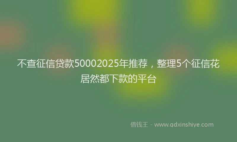 不查征信贷款50002025年推荐，整理5个征信花居然都下款的平台