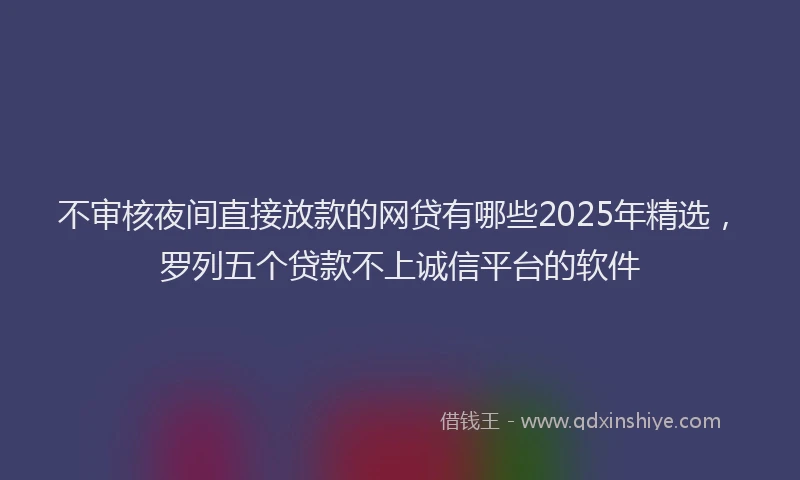 不审核夜间直接放款的网贷有哪些2025年精选，罗列五个贷款不上诚信平台的软件