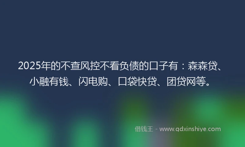 2025年的不查风控不看负债的口子有：森森贷、小融有钱、闪电购、口袋快贷、团贷网等。