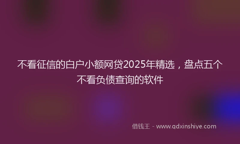 不看征信的白户小额网贷2025年精选，盘点五个不看负债查询的软件