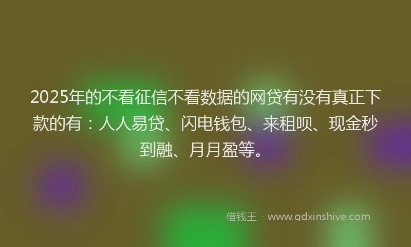 2025年的不看征信不看数据的网贷有没有真正下款的有：人人易贷、闪电钱包、来租呗、现金秒到融、月月盈等。