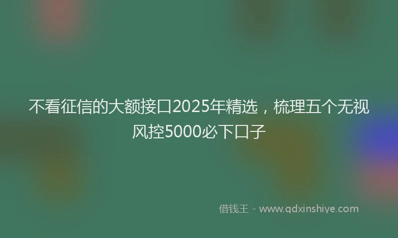 不看征信的大额接口2025年精选，梳理五个无视风控5000必下口子