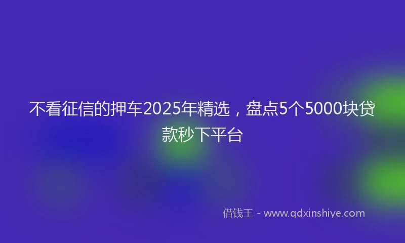 不看征信的押车2025年精选，盘点5个5000块贷款秒下平台