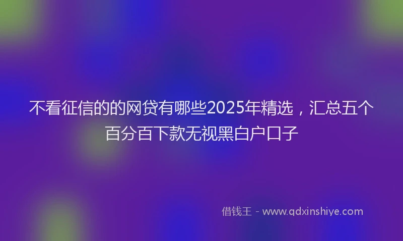 不看征信的的网贷有哪些2025年精选，汇总五个百分百下款无视黑白户口子