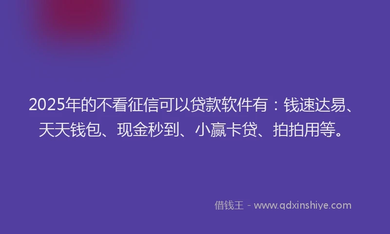 2025年的不看征信可以贷款软件有：钱速达易、天天钱包、现金秒到、小赢卡贷、拍拍用等。