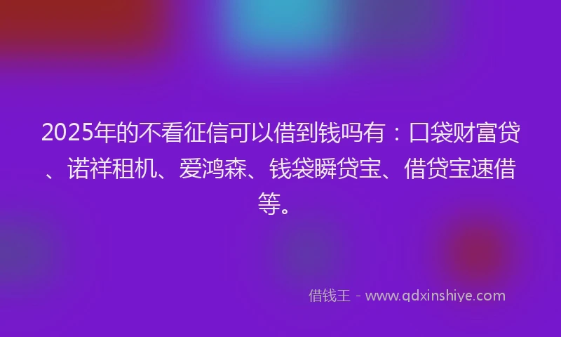 2025年的不看征信可以借到钱吗有：口袋财富贷、诺祥租机、爱鸿森、钱袋瞬贷宝、借贷宝速借等。