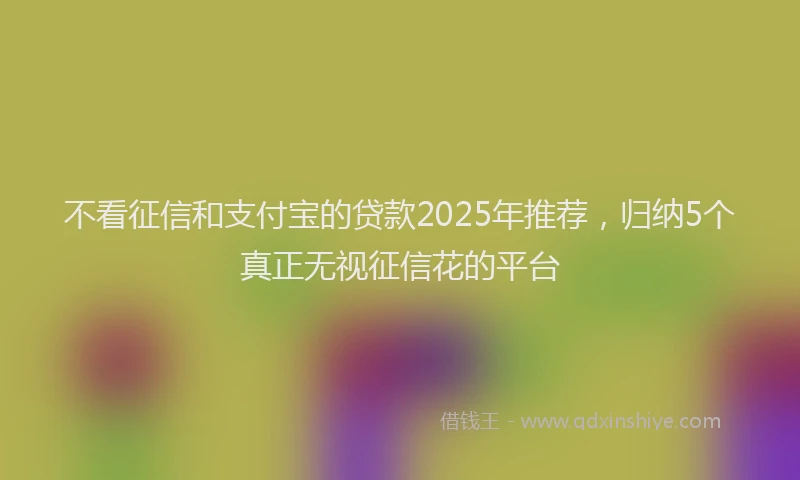 不看征信和支付宝的贷款2025年推荐，归纳5个真正无视征信花的平台