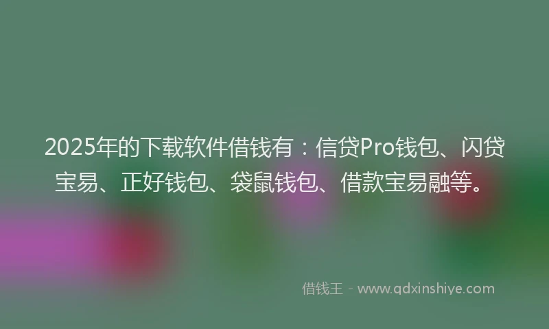 2025年的下载软件借钱有：信贷Pro钱包、闪贷宝易、正好钱包、袋鼠钱包、借款宝易融等。