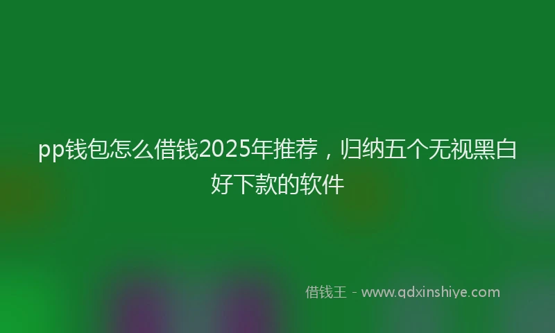 pp钱包怎么借钱2025年推荐，归纳五个无视黑白好下款的软件