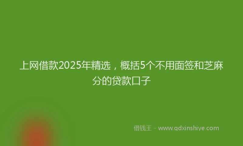 上网借款2025年精选，概括5个不用面签和芝麻分的贷款口子
