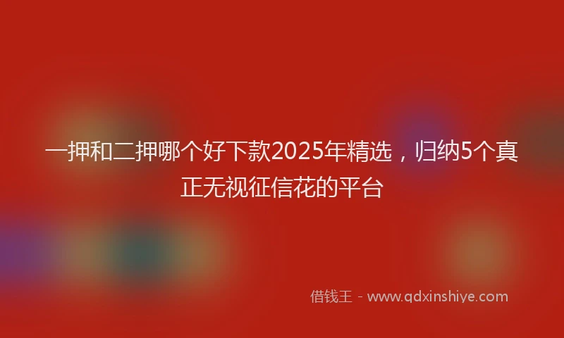 一押和二押哪个好下款2025年精选，归纳5个真正无视征信花的平台
