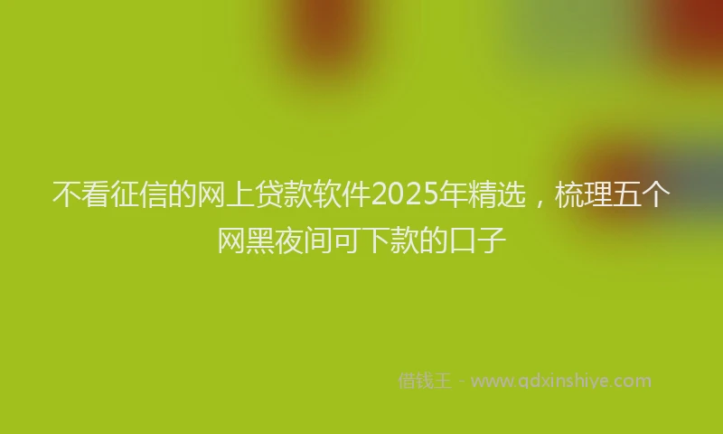 不看征信的网上贷款软件2025年精选，梳理五个网黑夜间可下款的口子