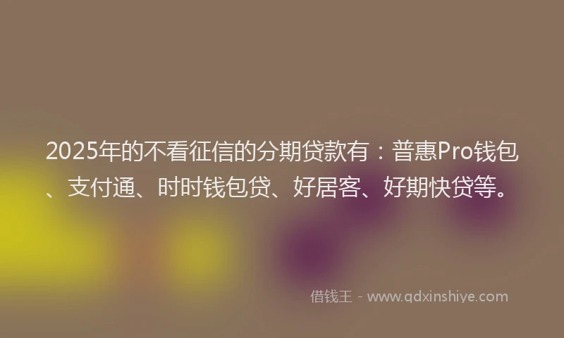 2025年的不看征信的分期贷款有：普惠Pro钱包、支付通、时时钱包贷、好居客、好期快贷等。