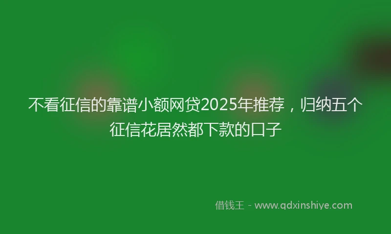 不看征信的靠谱小额网贷2025年推荐，归纳五个征信花居然都下款的口子
