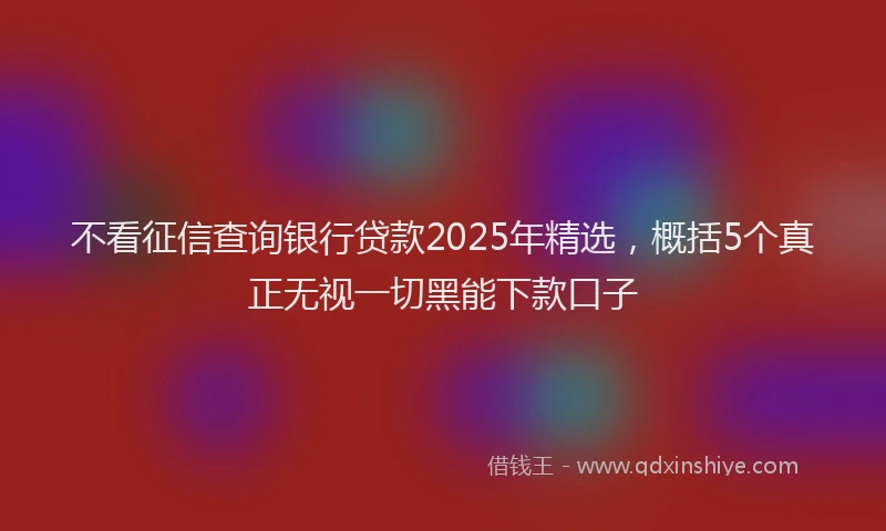 不看征信查询银行贷款2025年精选，概括5个真正无视一切黑能下款口子