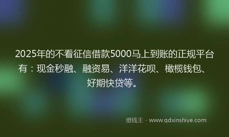 2025年的不看征信借款5000马上到账的正规平台有：现金秒融、融资易、洋洋花呗、橄榄钱包、好期快贷等。