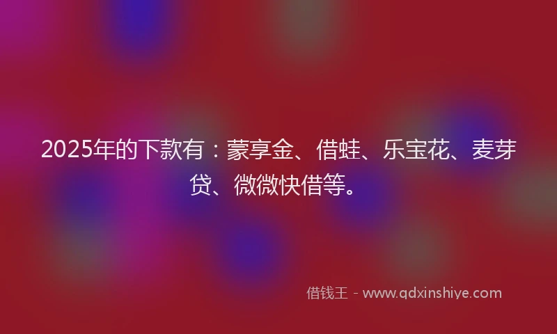 2025年的下款有：蒙享金、借蛙、乐宝花、麦芽贷、微微快借等。