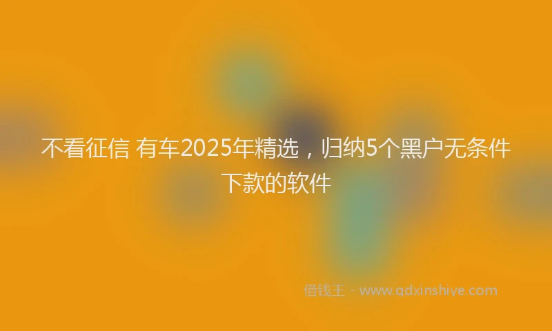不看征信 有车2025年精选，归纳5个黑户无条件下款的软件