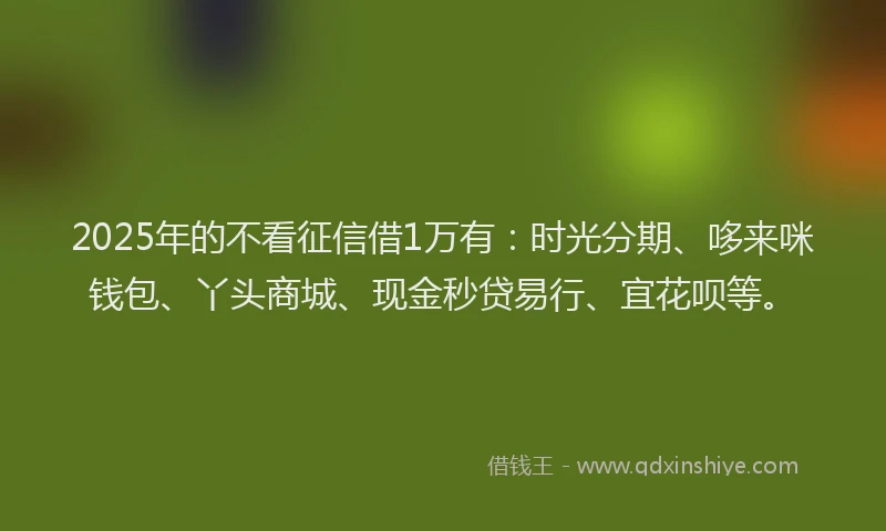 2025年的不看征信借1万有：时光分期、哆来咪钱包、丫头商城、现金秒贷易行、宜花呗等。