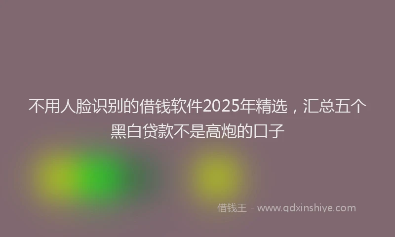 不用人脸识别的借钱软件2025年精选，汇总五个黑白贷款不是高炮的口子