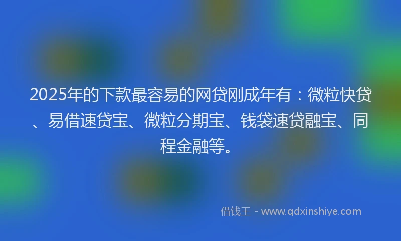 2025年的下款最容易的网贷刚成年有：微粒快贷、易借速贷宝、微粒分期宝、钱袋速贷融宝、同程金融等。