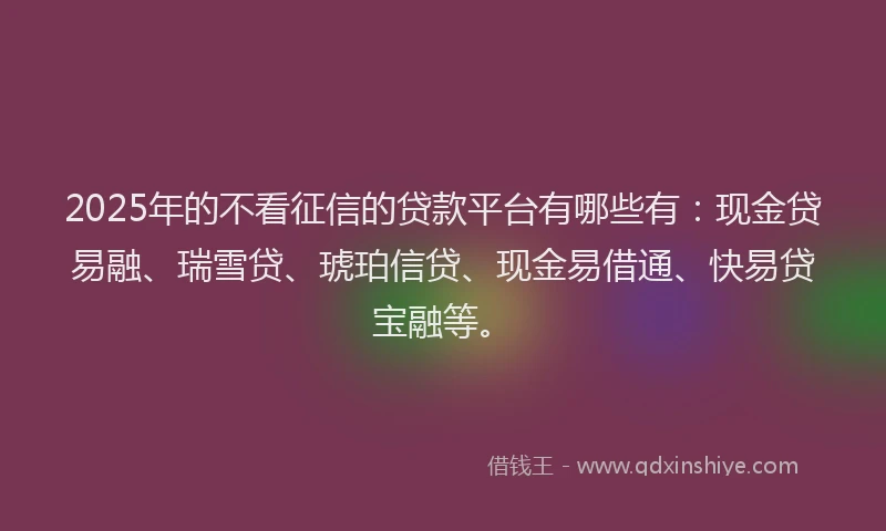 2025年的不看征信的贷款平台有哪些有：现金贷易融、瑞雪贷、琥珀信贷、现金易借通、快易贷宝融等。
