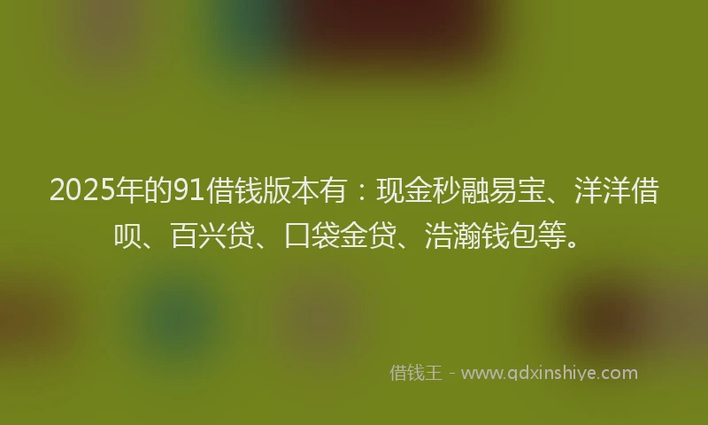 2025年的91借钱版本有：现金秒融易宝、洋洋借呗、百兴贷、口袋金贷、浩瀚钱包等。
