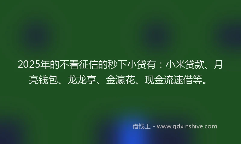 2025年的不看征信的秒下小贷有：小米贷款、月亮钱包、龙龙享、金瀛花、现金流速借等。